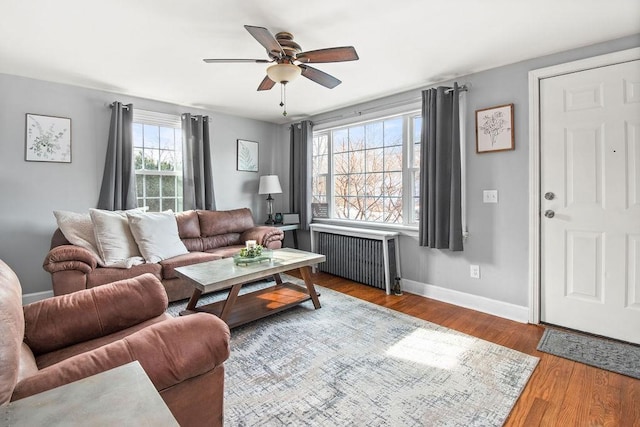 living area featuring a ceiling fan, baseboards, radiator heating unit, and wood finished floors