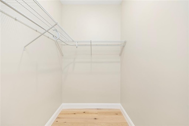 walk in closet with light wood-type flooring