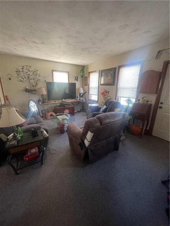 view of carpeted living area