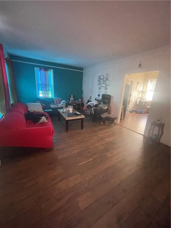 living room featuring hardwood / wood-style floors