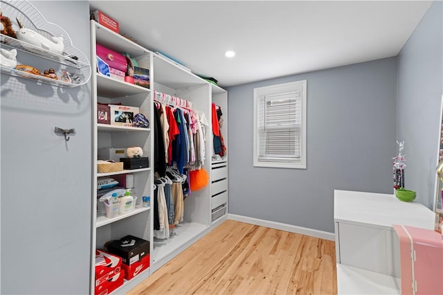 spacious closet featuring wood finished floors