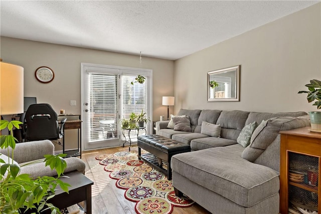 living area featuring a textured ceiling and wood finished floors