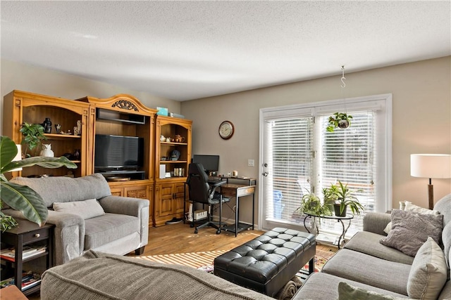 living area featuring a textured ceiling and wood finished floors