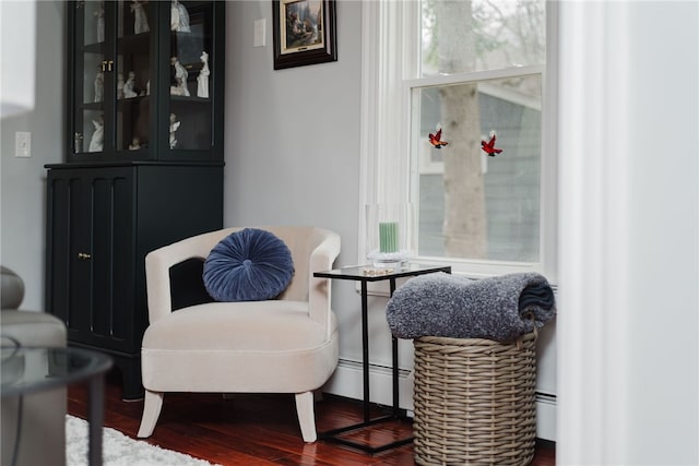 living area featuring baseboard heating and wood finished floors