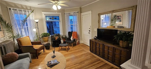 living area featuring ornamental molding, a ceiling fan, and wood finished floors