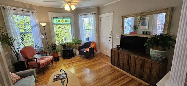 living area with a healthy amount of sunlight, ceiling fan, ornamental molding, and wood finished floors