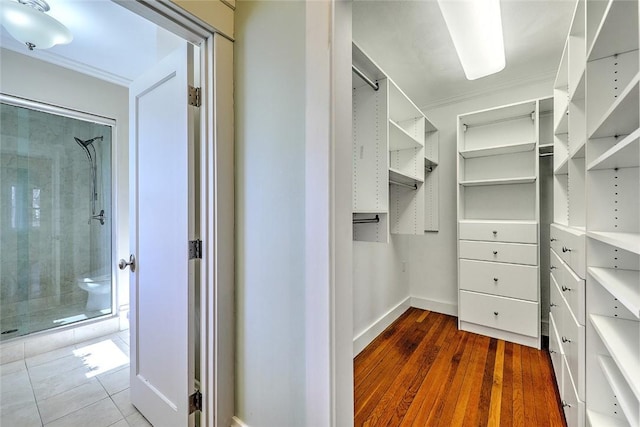 walk in closet featuring wood finished floors