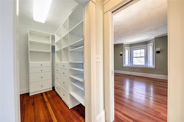 spacious closet featuring wood finished floors