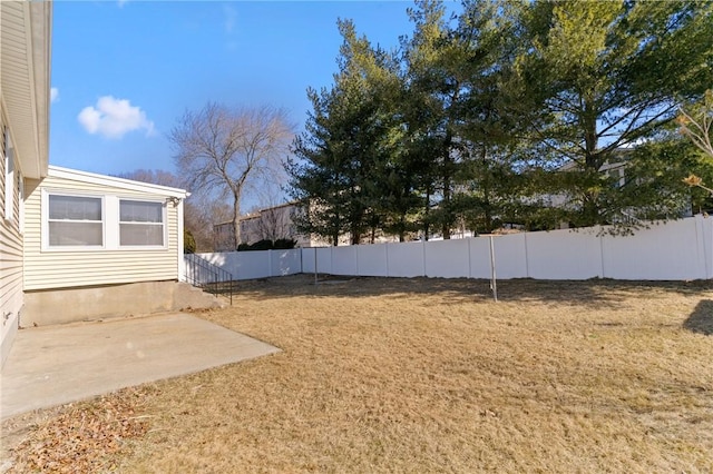 view of yard featuring a fenced backyard and a patio