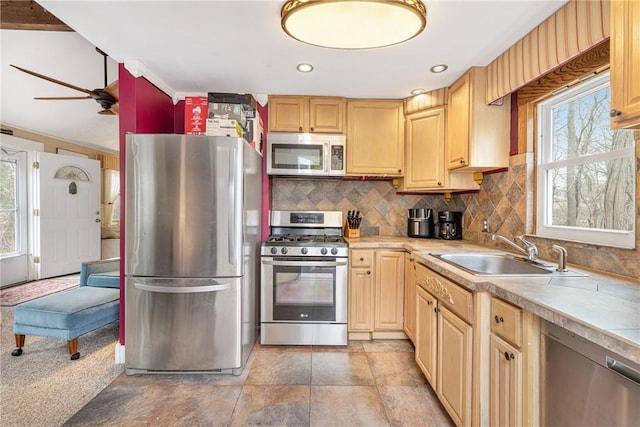 kitchen with tasteful backsplash, appliances with stainless steel finishes, a sink, and a healthy amount of sunlight