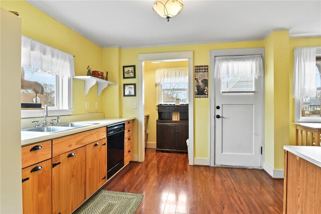 kitchen featuring a sink, dark wood-style floors, baseboards, light countertops, and dishwasher