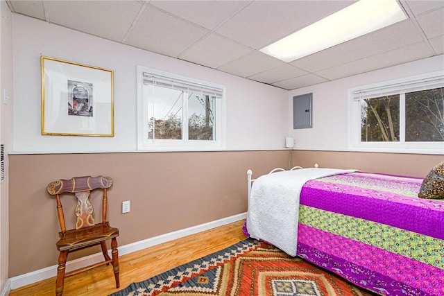 bedroom with a paneled ceiling, electric panel, baseboards, and wood finished floors