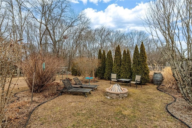 view of yard with a fire pit