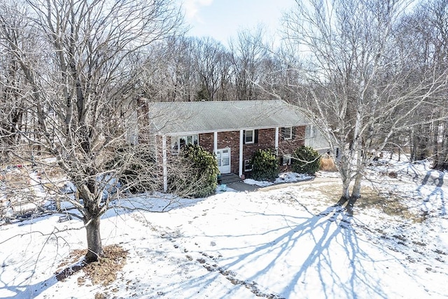 view of front of property featuring entry steps, brick siding, and a chimney