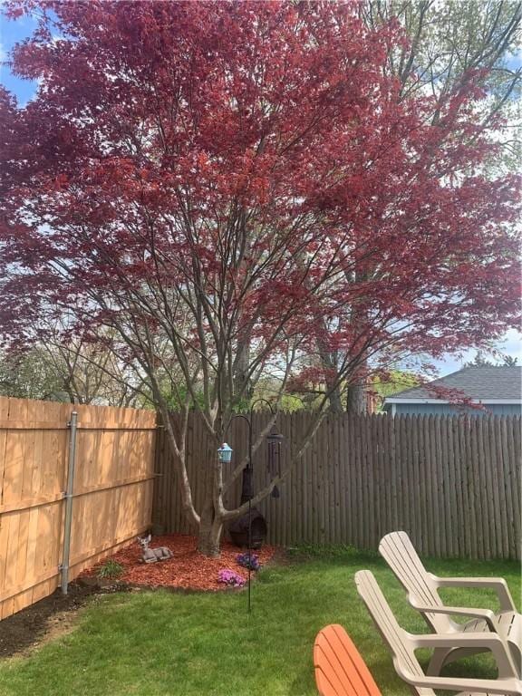 view of yard with a fenced backyard