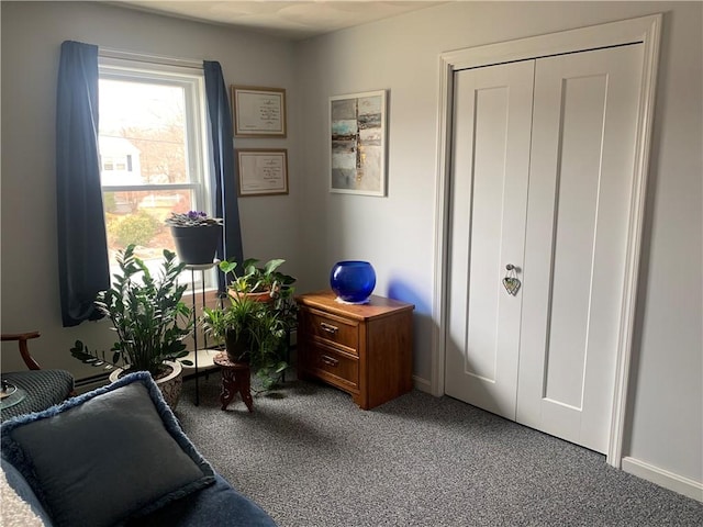 home office featuring carpet flooring