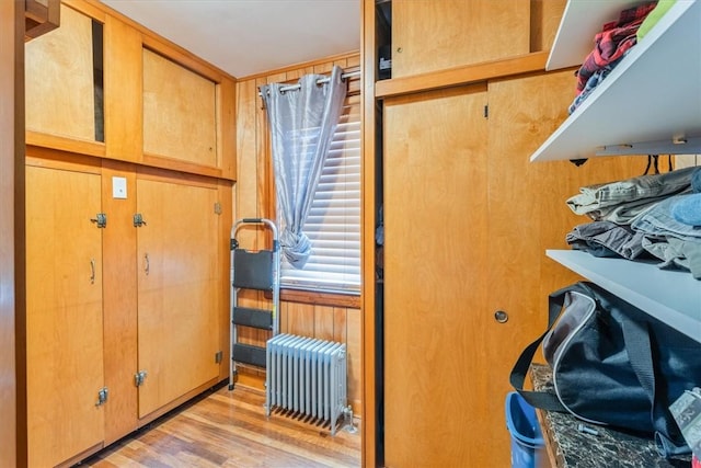 storage room featuring radiator