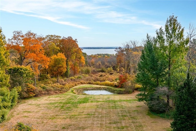 view of yard with a water view and a wooded view