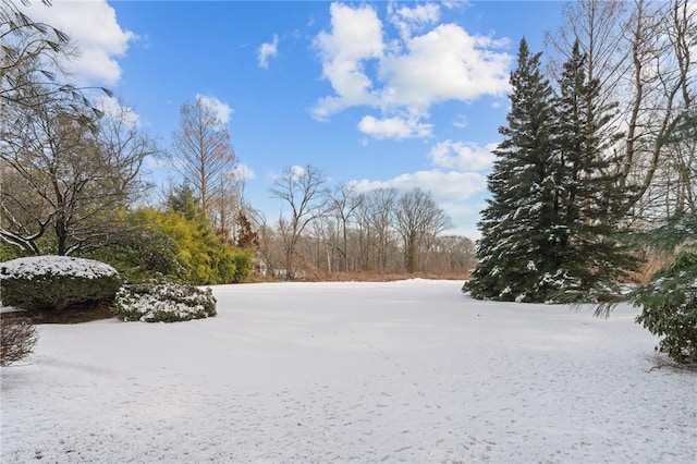 view of yard covered in snow