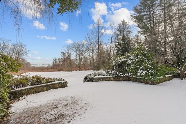 view of snowy yard