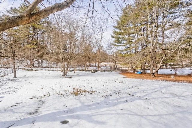 view of snowy yard