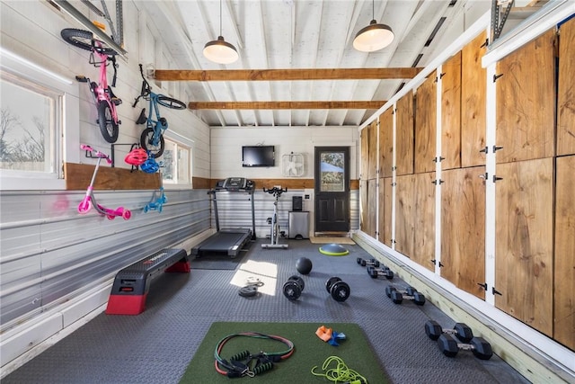 exercise area featuring a healthy amount of sunlight