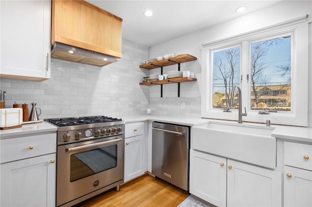 kitchen featuring appliances with stainless steel finishes, light countertops, premium range hood, and a sink