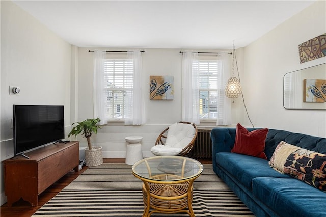 living area featuring wood finished floors