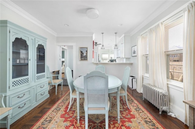 dining area with crown molding, baseboards, dark wood finished floors, and radiator