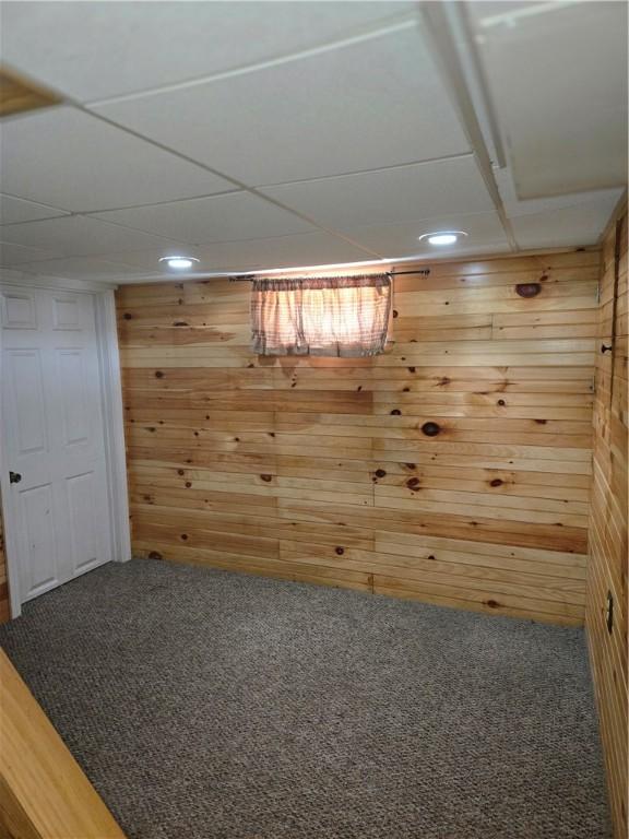 finished basement with carpet floors and wood walls