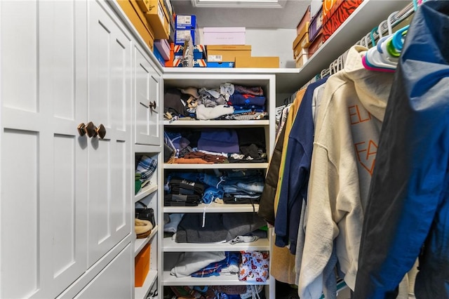 view of walk in closet