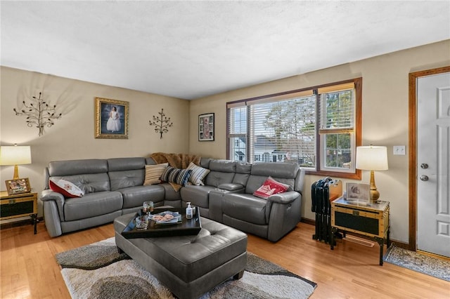 living area with baseboards and wood finished floors