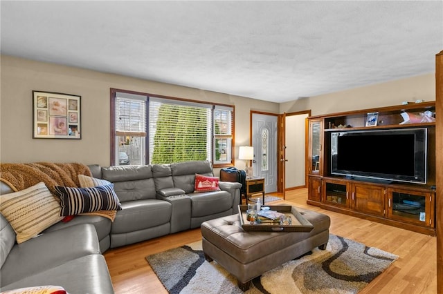 living room with light wood-type flooring