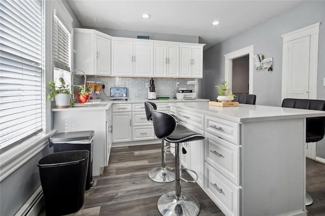 office with a baseboard radiator, dark wood finished floors, a sink, and recessed lighting