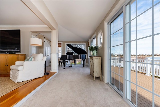 interior space featuring lofted ceiling, ornamental molding, and light colored carpet