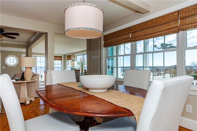 dining area with ceiling fan and wood finished floors