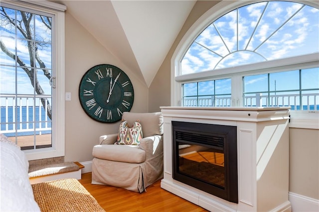 interior space with vaulted ceiling, light wood-type flooring, a glass covered fireplace, and plenty of natural light