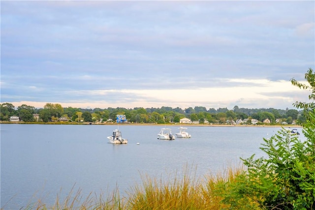 property view of water