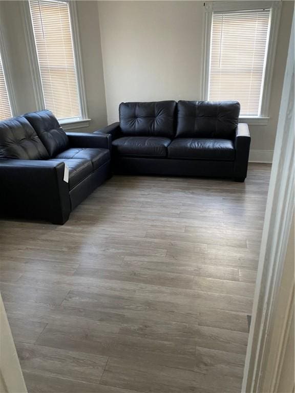 living area featuring wood finished floors