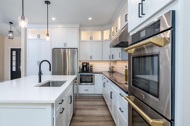 kitchen featuring decorative backsplash, appliances with stainless steel finishes, hanging light fixtures, under cabinet range hood, and a sink