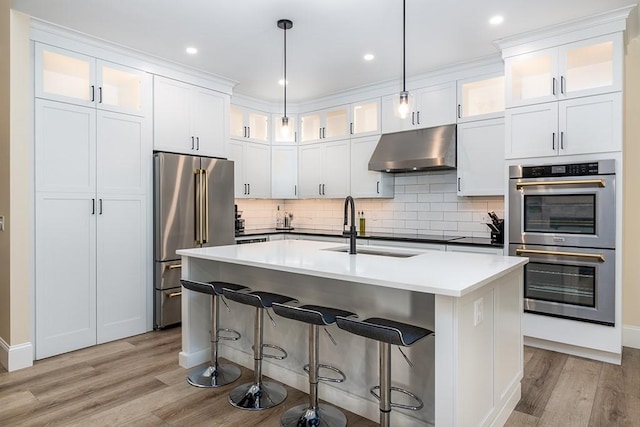 kitchen with backsplash, appliances with stainless steel finishes, light wood-style floors, a kitchen island with sink, and under cabinet range hood