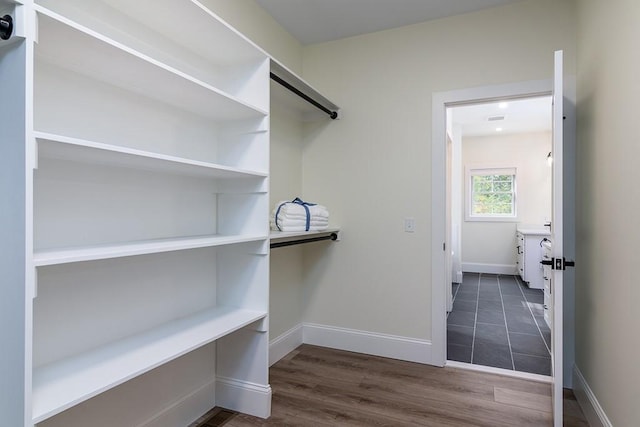 spacious closet featuring dark wood-type flooring