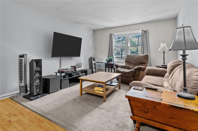 living room featuring wood finished floors, baseboards, and a textured ceiling