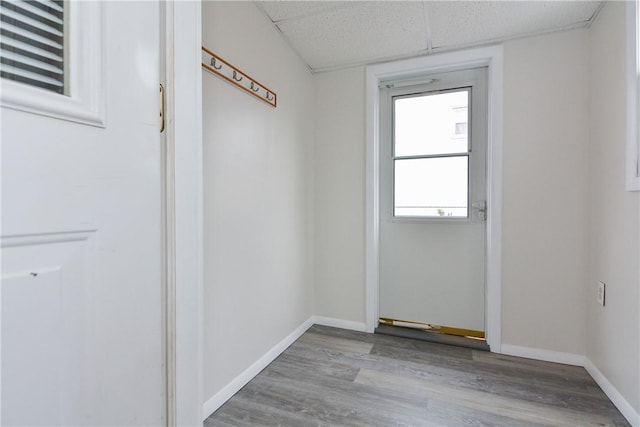 entryway featuring baseboards, a drop ceiling, and wood finished floors