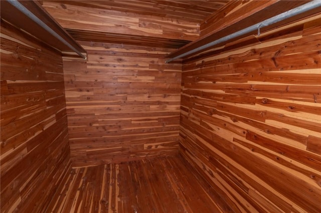 spacious closet with dark wood-type flooring