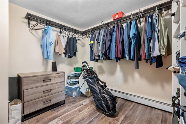 spacious closet featuring wood finished floors