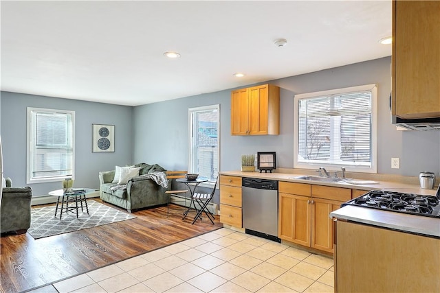 kitchen featuring open floor plan, a healthy amount of sunlight, a sink, and stainless steel dishwasher