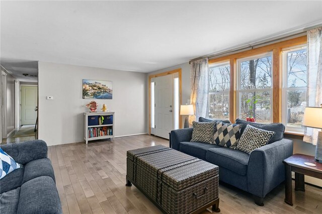 living room featuring wood finished floors