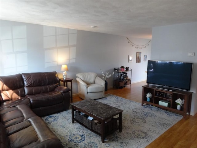 living area featuring wood finished floors