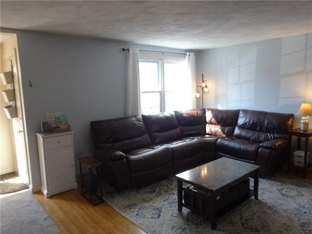 living room featuring light wood finished floors